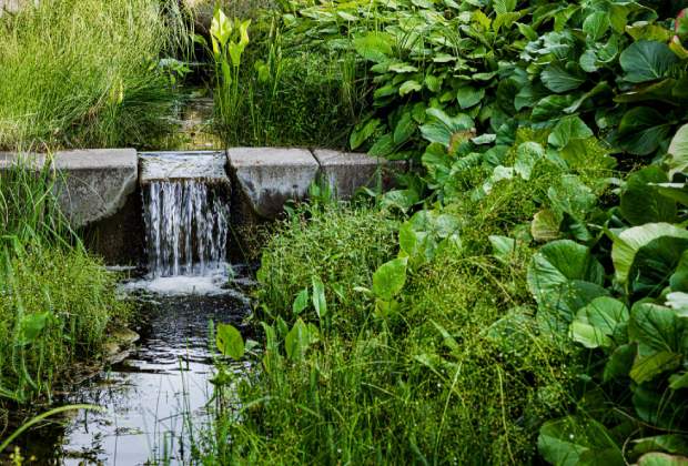 Eco-Friendly Landscaping and Water Features